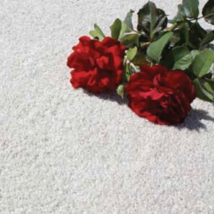 Samur velvet halıfleks duvardan duvara halı tüylü halı